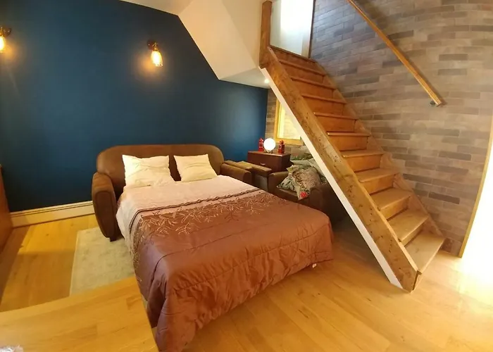 Maison Jardin Et Parking Prive Dans *