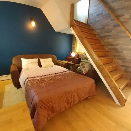 Maison Jardin Et Parking Prive Dans *